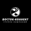 Группа компаний Восток-Коннект