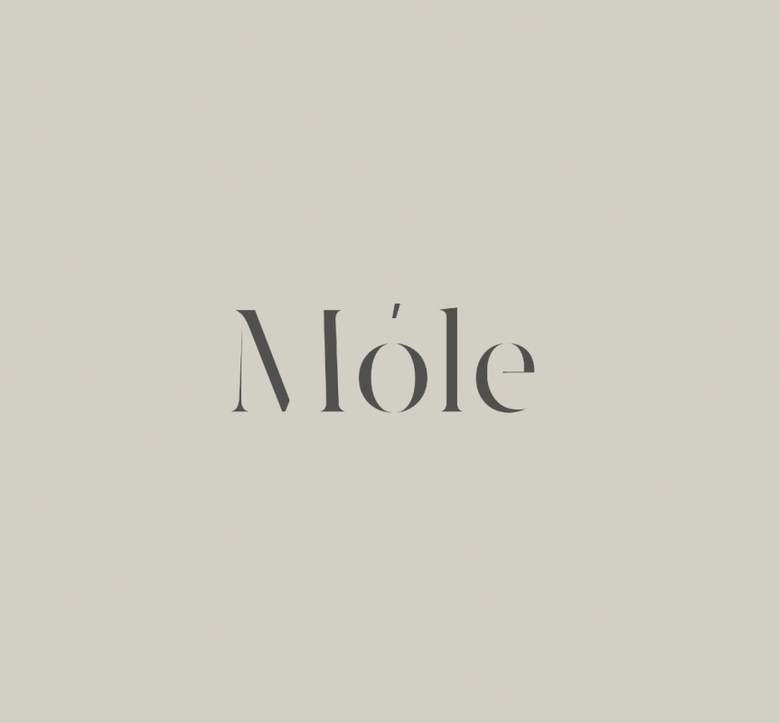 Mole: отзывы от сотрудников и партнеров