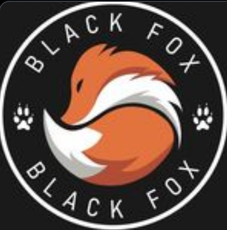 Black fox: отзывы от сотрудников и партнеров