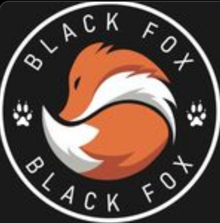 Black fox: отзывы сотрудников о работодателе