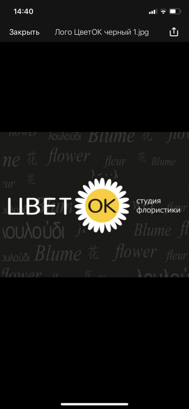 Никитина Елена Владимировна: отзывы от сотрудников и партнеров