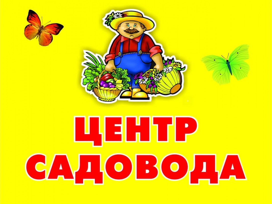 Собчаков Андрей Николаевич: отзывы сотрудников о работодателе