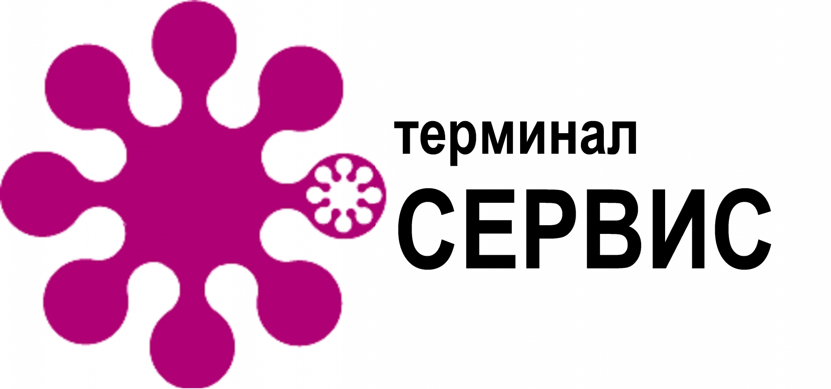 Терминал Сервис