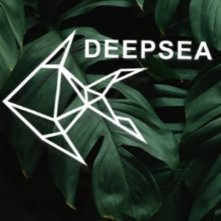 Deepsea: отзывы сотрудников о работодателе