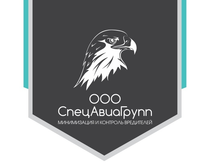 СпецАвиаГрупп: отзывы сотрудников о работодателе