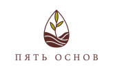 5 Основ