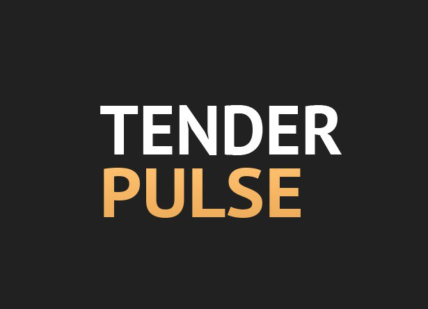 Tender Pulse (ИП Богданов Фарид Шамильевич): отзывы сотрудников о работодателе