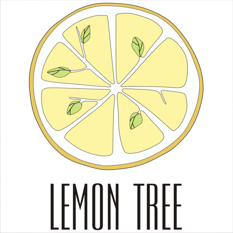 Lemon Tree: отзывы сотрудников о работодателе