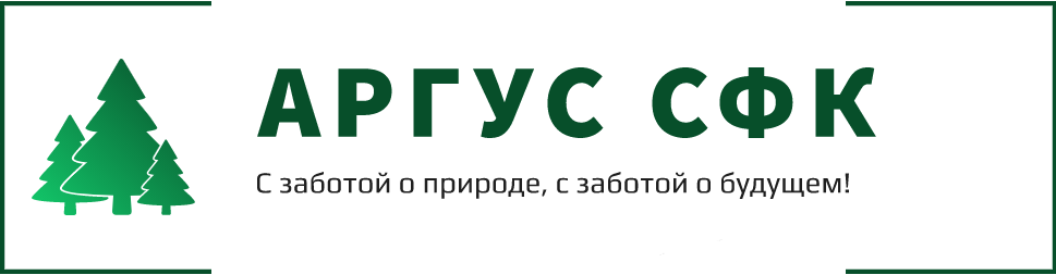 Аргус СФК: отзывы сотрудников о работодателе