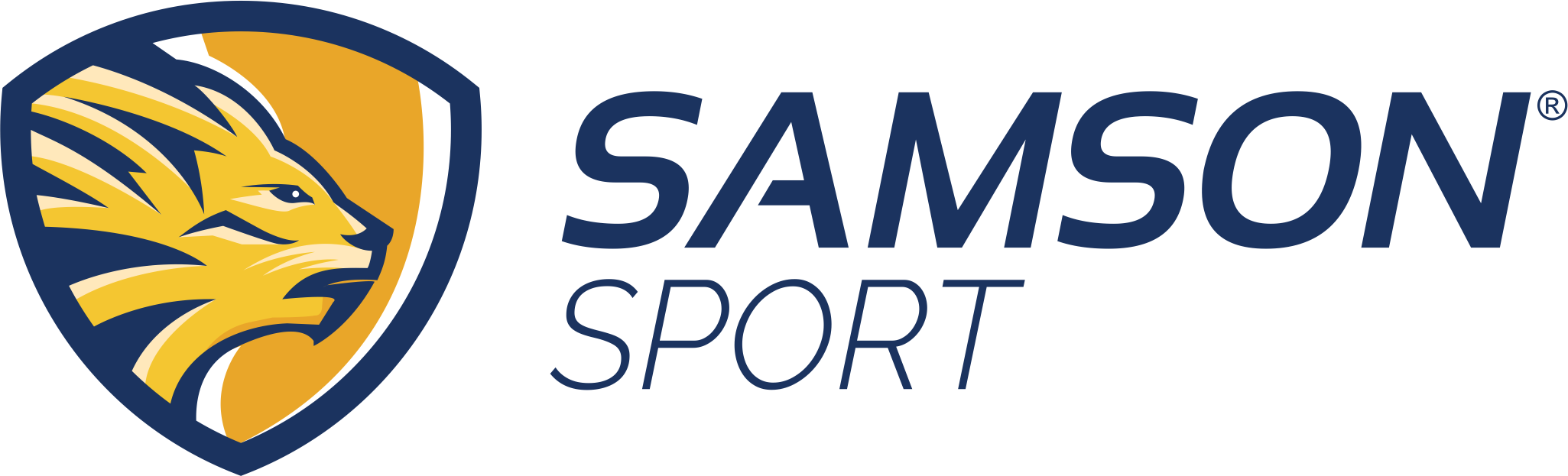 SAMSONsport: отзывы сотрудников о работодателе