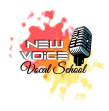 New Voice Studio