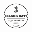 Black Cat студия изучения английского языка