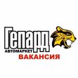 Автомаркет Гепард