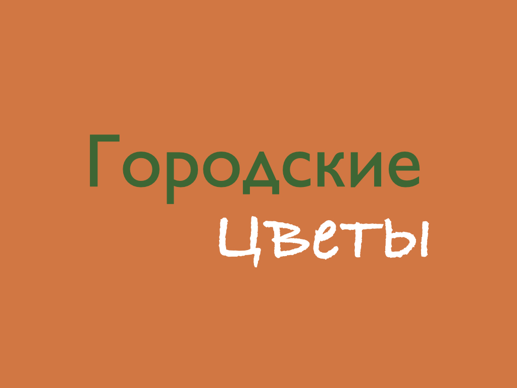 Городские цветы: отзывы сотрудников