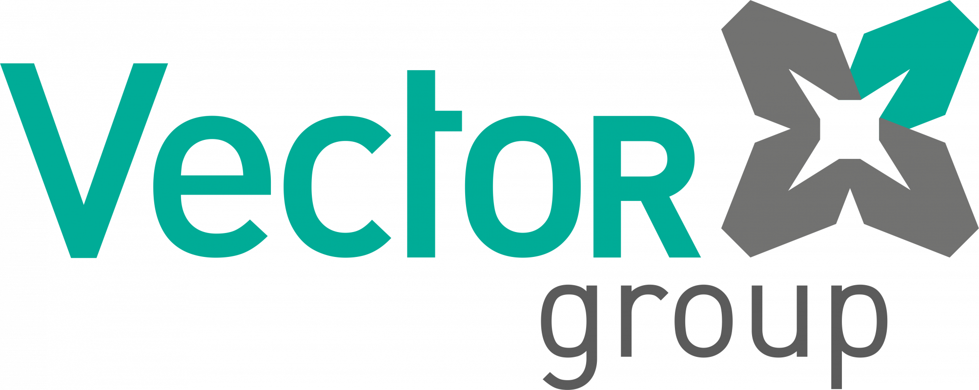 Vector Group