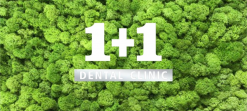 1+1 Dental Clinic