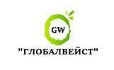 Филиал ООО Глобалвейст г. Брянск: отзывы от сотрудников и партнеров