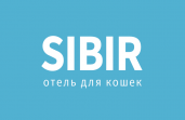 SIBIR отель для кошек