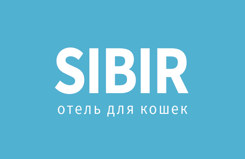 SIBIR отель для кошек: отзывы сотрудников о работодателе